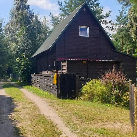Domki Nad Jeziorem, Las, Do 10 Osob Jezioro Wilczynskie Budzislawskie - Domek Letniskowy Osobno Ogrodzony, Ogrzewany Mile Widziane Pieski, Zwierzeta- Wielkopolska, 62-550 Zygmuntowo Gm Wilczyn Εξωτερικό φωτογραφία