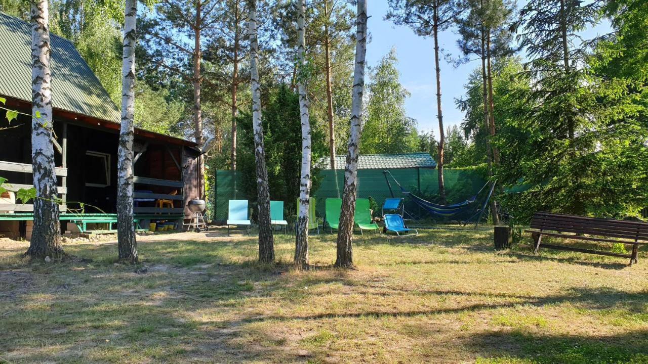 Domki Nad Jeziorem, Las, Do 10 Osob Jezioro Wilczynskie Budzislawskie - Domek Letniskowy Osobno Ogrodzony, Ogrzewany Mile Widziane Pieski, Zwierzeta- Wielkopolska, 62-550 Zygmuntowo Gm Wilczyn Εξωτερικό φωτογραφία