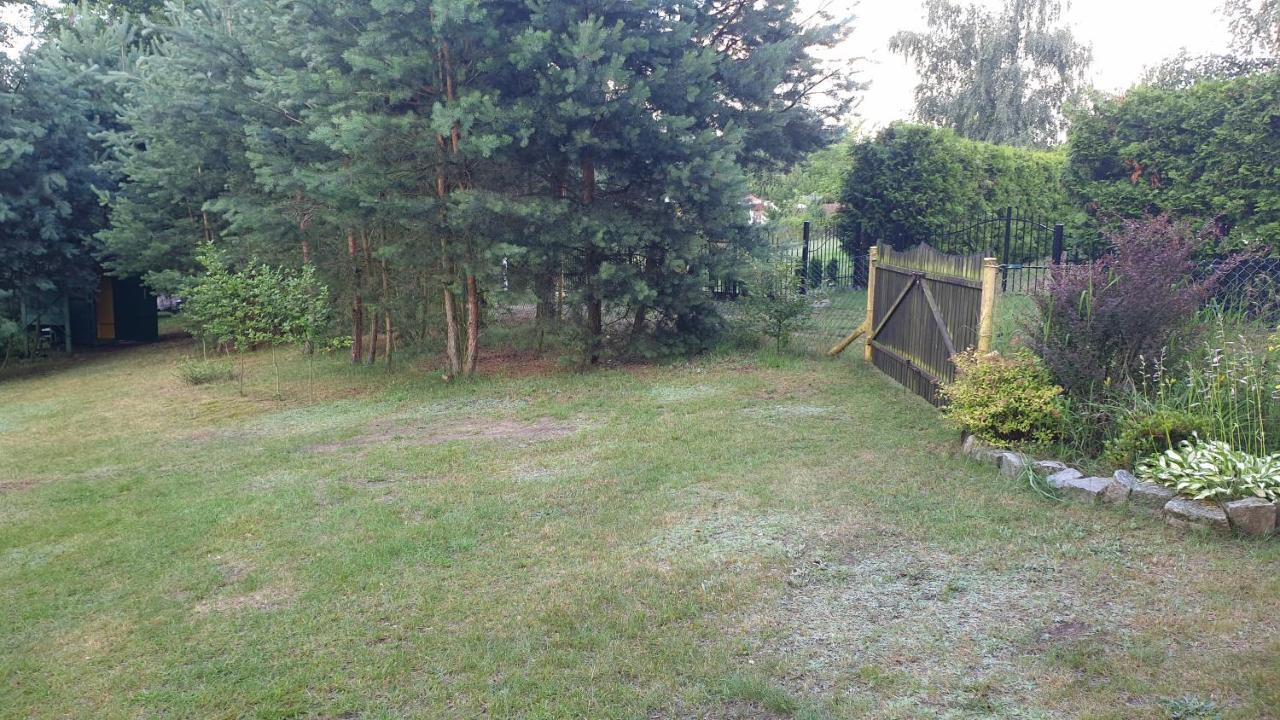 Domki Nad Jeziorem, Las, Do 10 Osob Jezioro Wilczynskie Budzislawskie - Domek Letniskowy Osobno Ogrodzony, Ogrzewany Mile Widziane Pieski, Zwierzeta- Wielkopolska, 62-550 Zygmuntowo Gm Wilczyn Εξωτερικό φωτογραφία