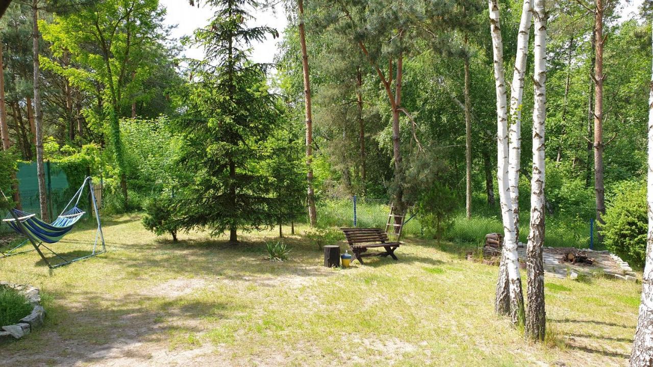 Domki Nad Jeziorem, Las, Do 10 Osob Jezioro Wilczynskie Budzislawskie - Domek Letniskowy Osobno Ogrodzony, Ogrzewany Mile Widziane Pieski, Zwierzeta- Wielkopolska, 62-550 Zygmuntowo Gm Wilczyn Εξωτερικό φωτογραφία