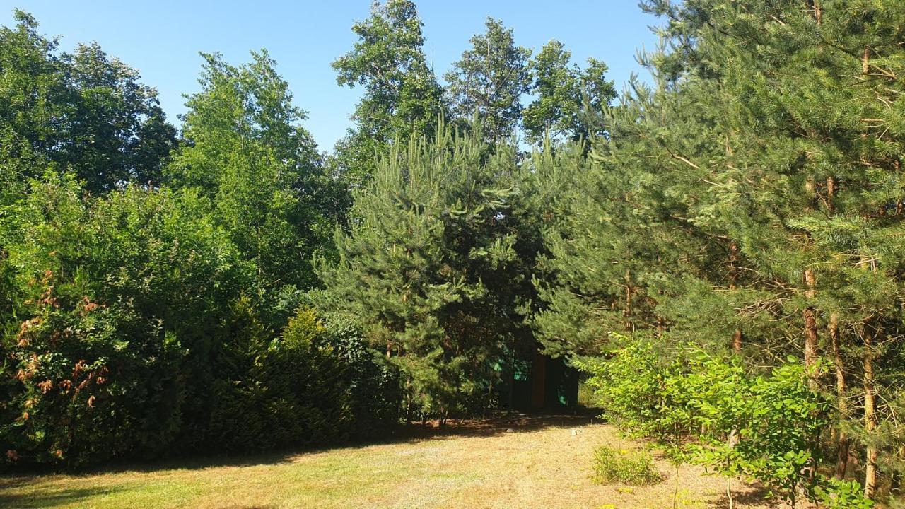 Domki Nad Jeziorem, Las, Do 10 Osob Jezioro Wilczynskie Budzislawskie - Domek Letniskowy Osobno Ogrodzony, Ogrzewany Mile Widziane Pieski, Zwierzeta- Wielkopolska, 62-550 Zygmuntowo Gm Wilczyn Εξωτερικό φωτογραφία