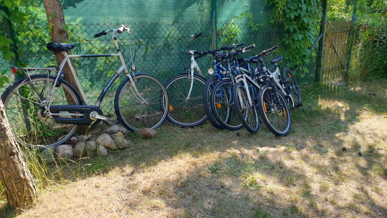 Domki Nad Jeziorem, Las, Do 10 Osob Jezioro Wilczynskie Budzislawskie - Domek Letniskowy Osobno Ogrodzony, Ogrzewany Mile Widziane Pieski, Zwierzeta- Wielkopolska, 62-550 Zygmuntowo Gm Wilczyn Εξωτερικό φωτογραφία