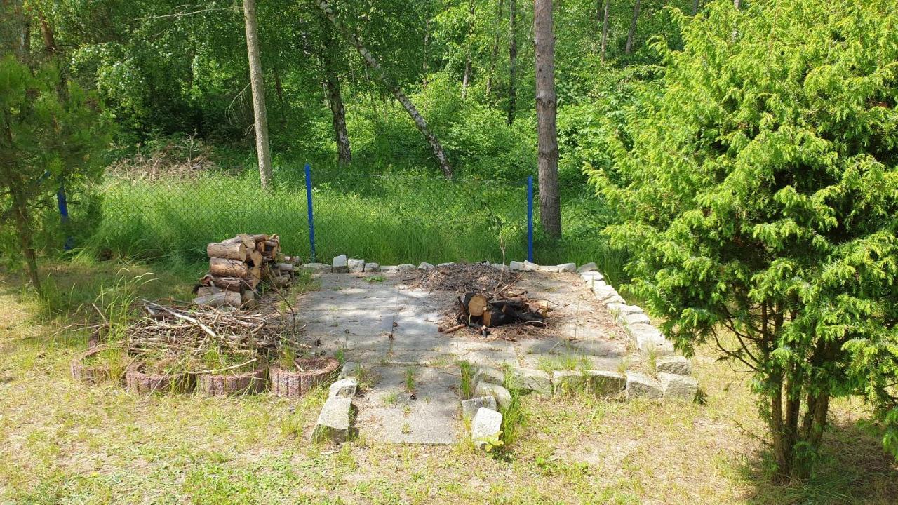 Domki Nad Jeziorem, Las, Do 10 Osob Jezioro Wilczynskie Budzislawskie - Domek Letniskowy Osobno Ogrodzony, Ogrzewany Mile Widziane Pieski, Zwierzeta- Wielkopolska, 62-550 Zygmuntowo Gm Wilczyn Εξωτερικό φωτογραφία