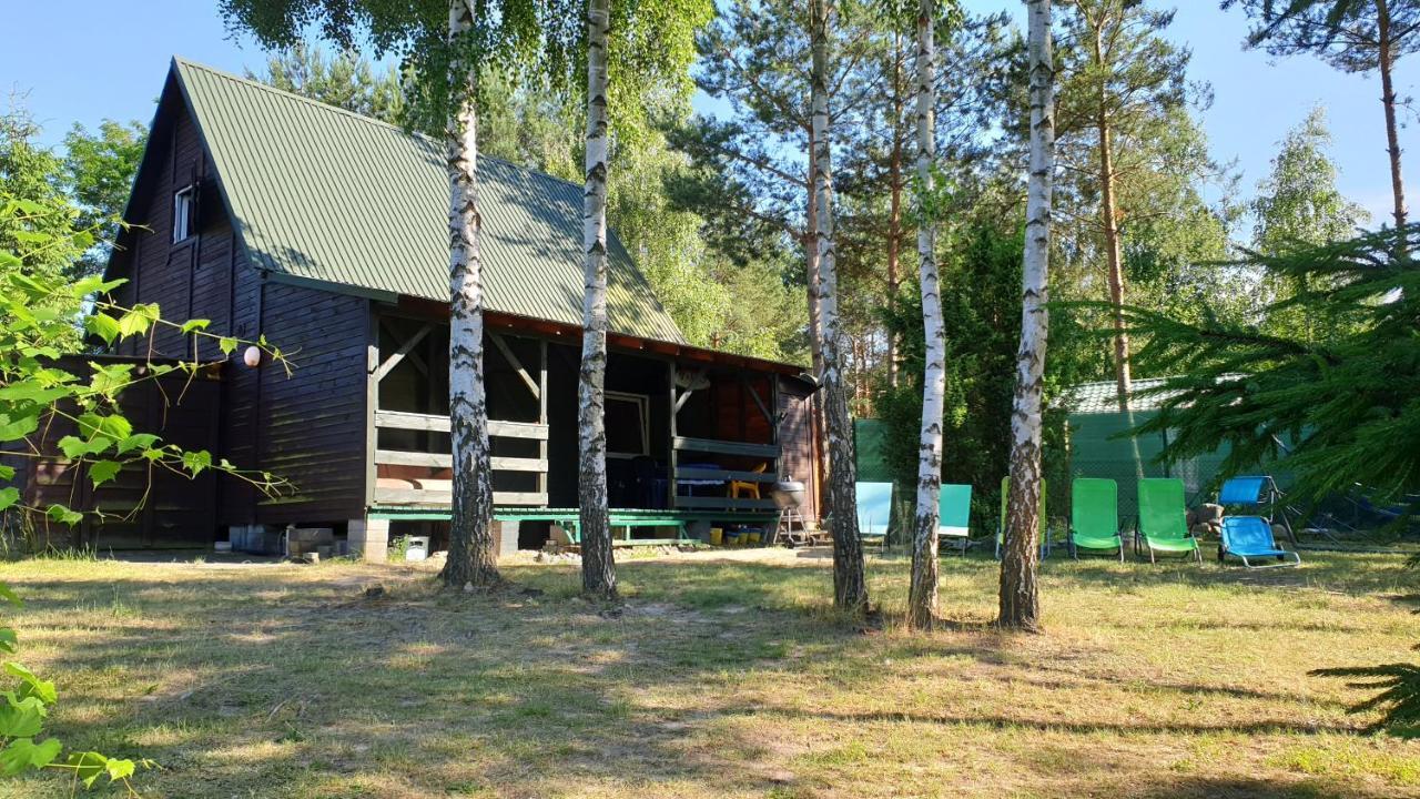 Domki Nad Jeziorem, Las, Do 10 Osob Jezioro Wilczynskie Budzislawskie - Domek Letniskowy Osobno Ogrodzony, Ogrzewany Mile Widziane Pieski, Zwierzeta- Wielkopolska, 62-550 Zygmuntowo Gm Wilczyn Εξωτερικό φωτογραφία